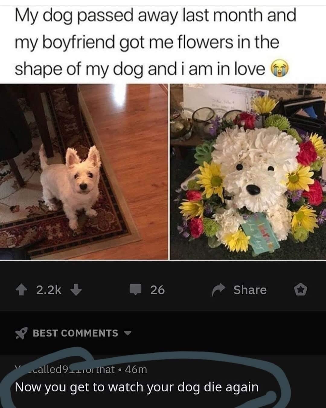 I got the same dog flowers once thing was like $60 - meme