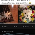 I got the same dog flowers once thing was like $60