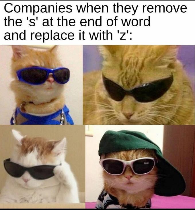 Cool Catz - meme