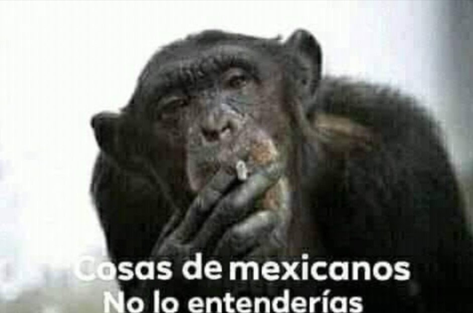 Orgullo mexicano - meme