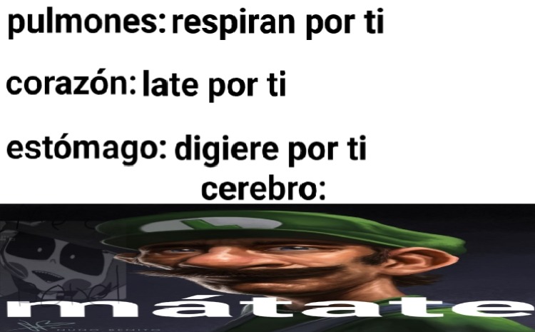 Anatomía del cuerpo humano: - meme
