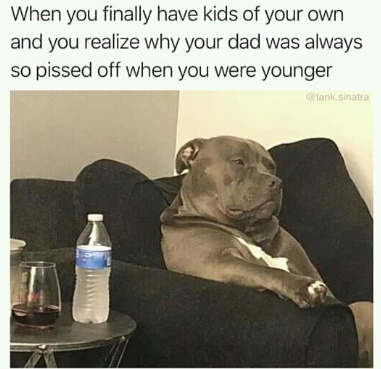When you have kids of your own and realize why your dad was always so pissed off - meme
