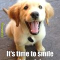 Smile puppy