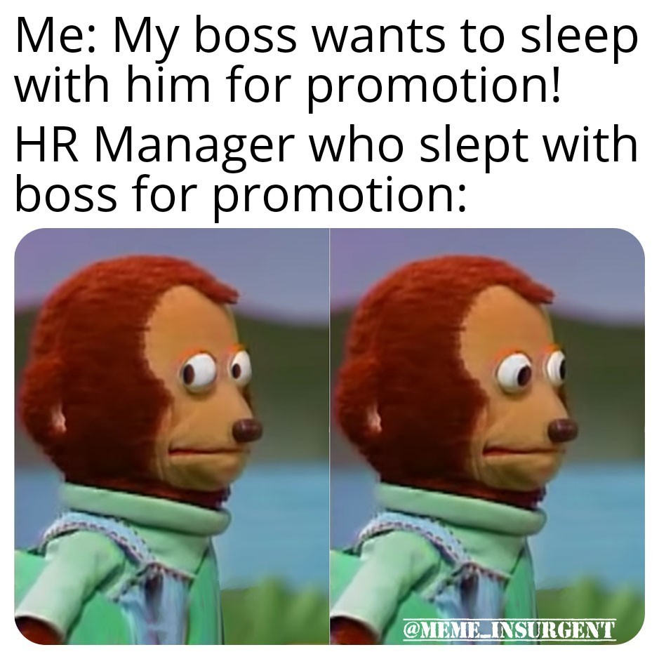 HR Visit! - meme