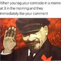 Salutes in communist*