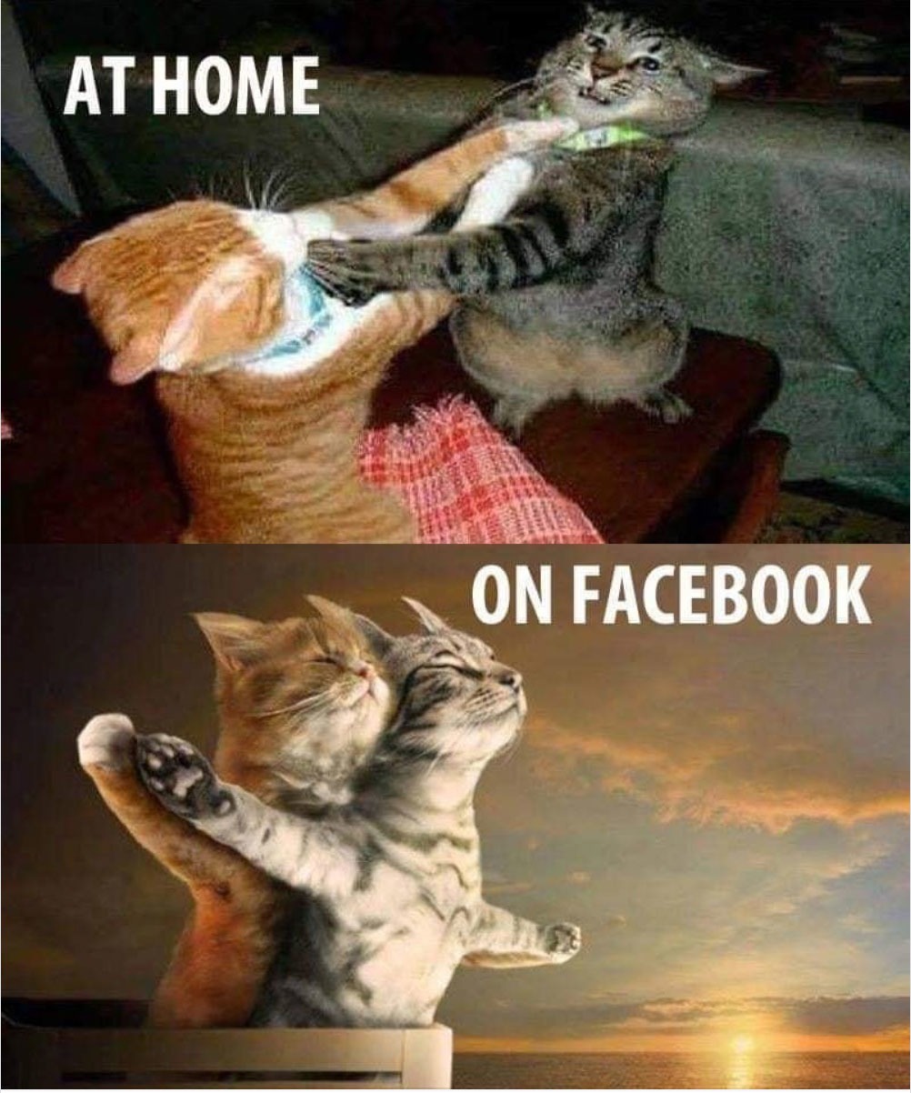 Facebook vs Real life - meme