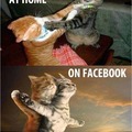 Facebook vs Real life