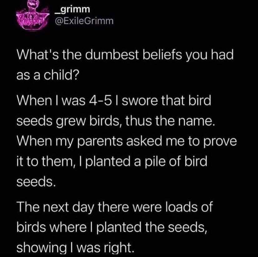 funny childhood belief about birds meme