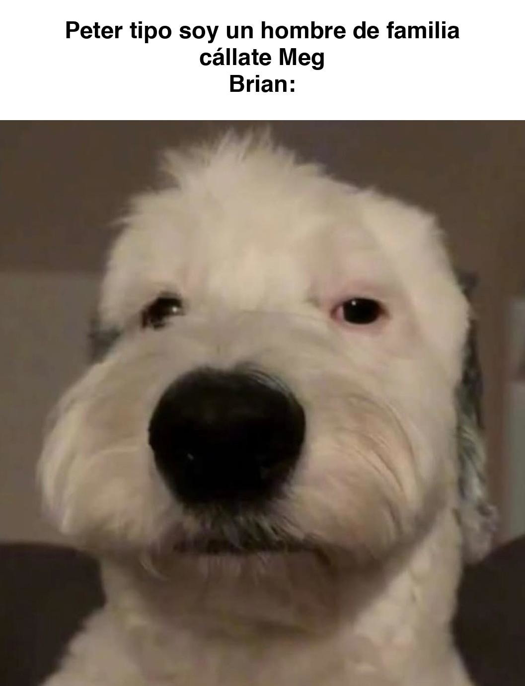 literalmente el brian live action - meme