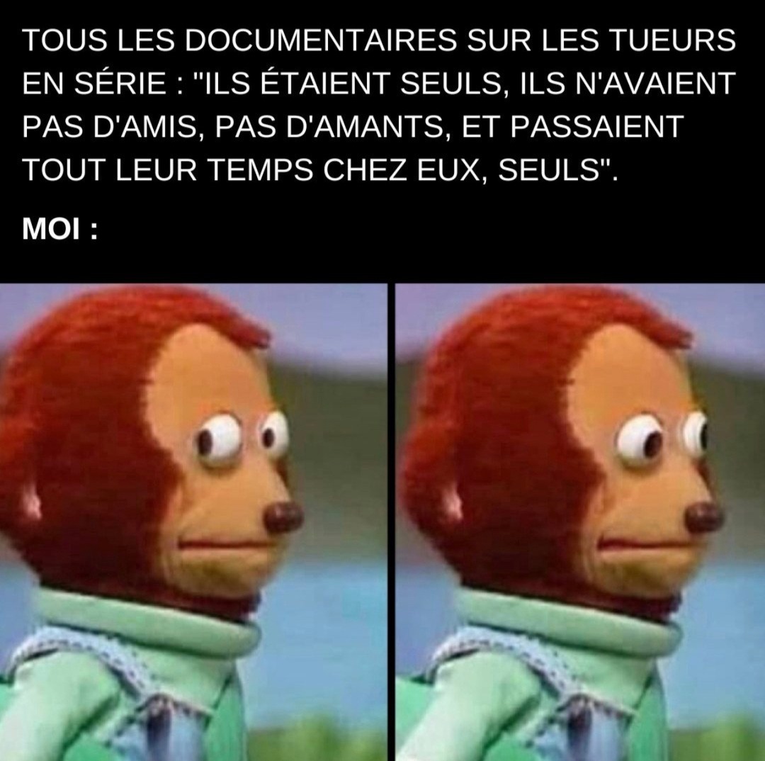 Les tueurs solos dans les docs true crime : moi en PLS - meme