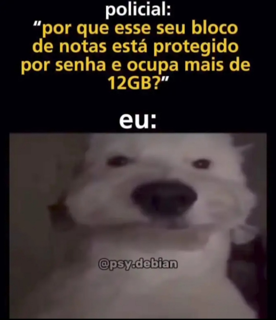 Senha - meme