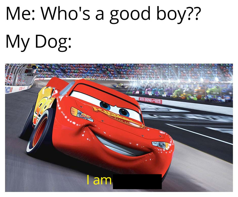 Doggo - meme