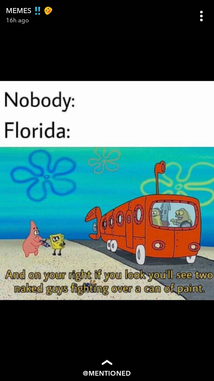 They even got a radio station in Florida to talk about the events of Florida Man/Woman. Pretty funny stuff. - meme