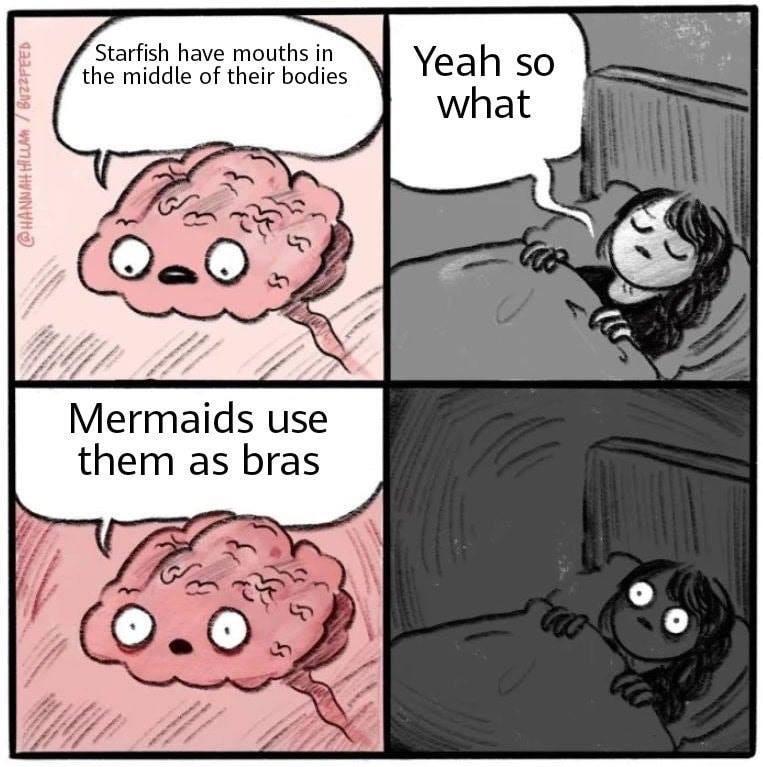 Starfish is a Playa - meme