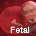 Fetal