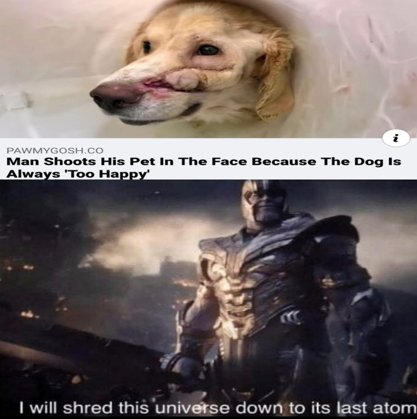 The dog should shoot the man - meme