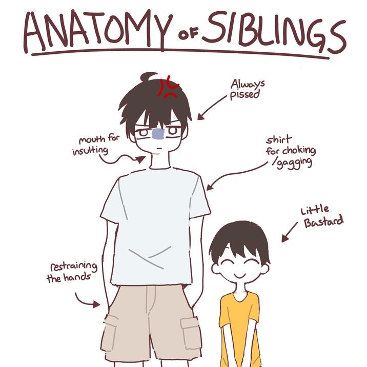 anatomy of siblings - meme