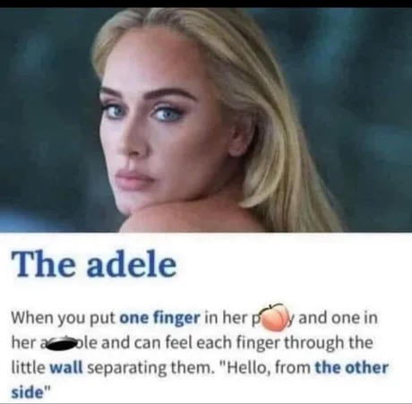 The adele (sexual slang) - meme