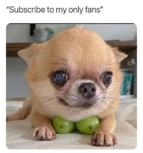 Onlyfans chicks be like - meme
