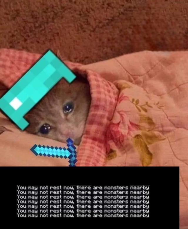 Minecraft sleep meme