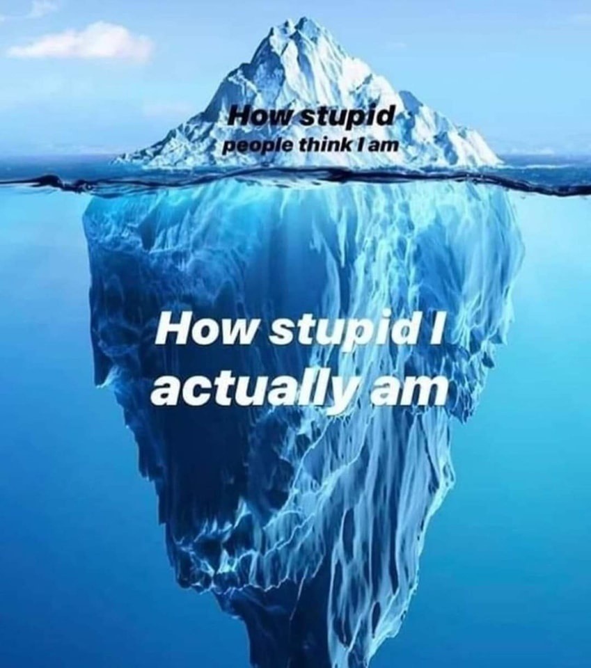 How stupid people think they're actually smart - meme