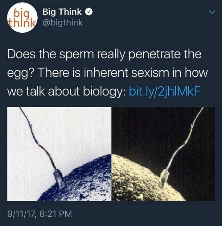 Le sperm - meme