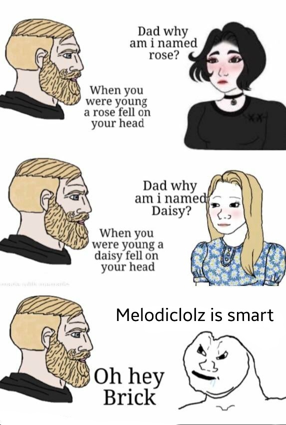 Medoliclolz is the dumbest dumber to ever dumb - meme