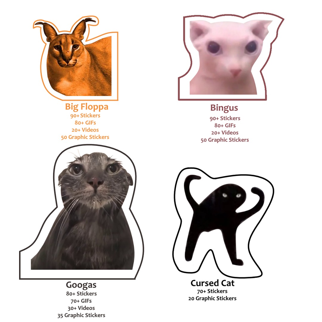 The meme cats. Cursed cat don't have too many features. It's me, @Song_of_Small_Bird.
