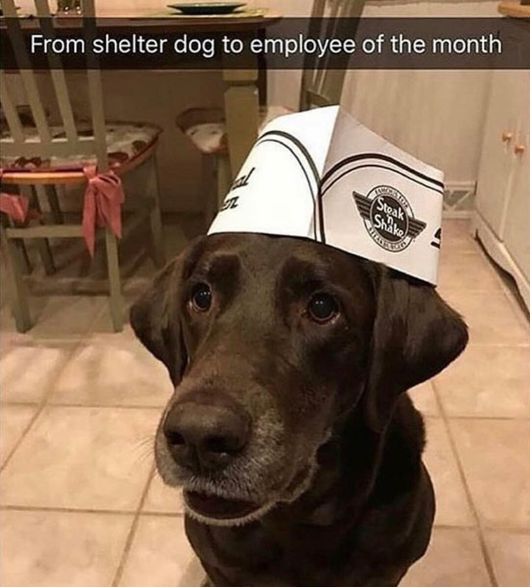 best employee of the month - meme