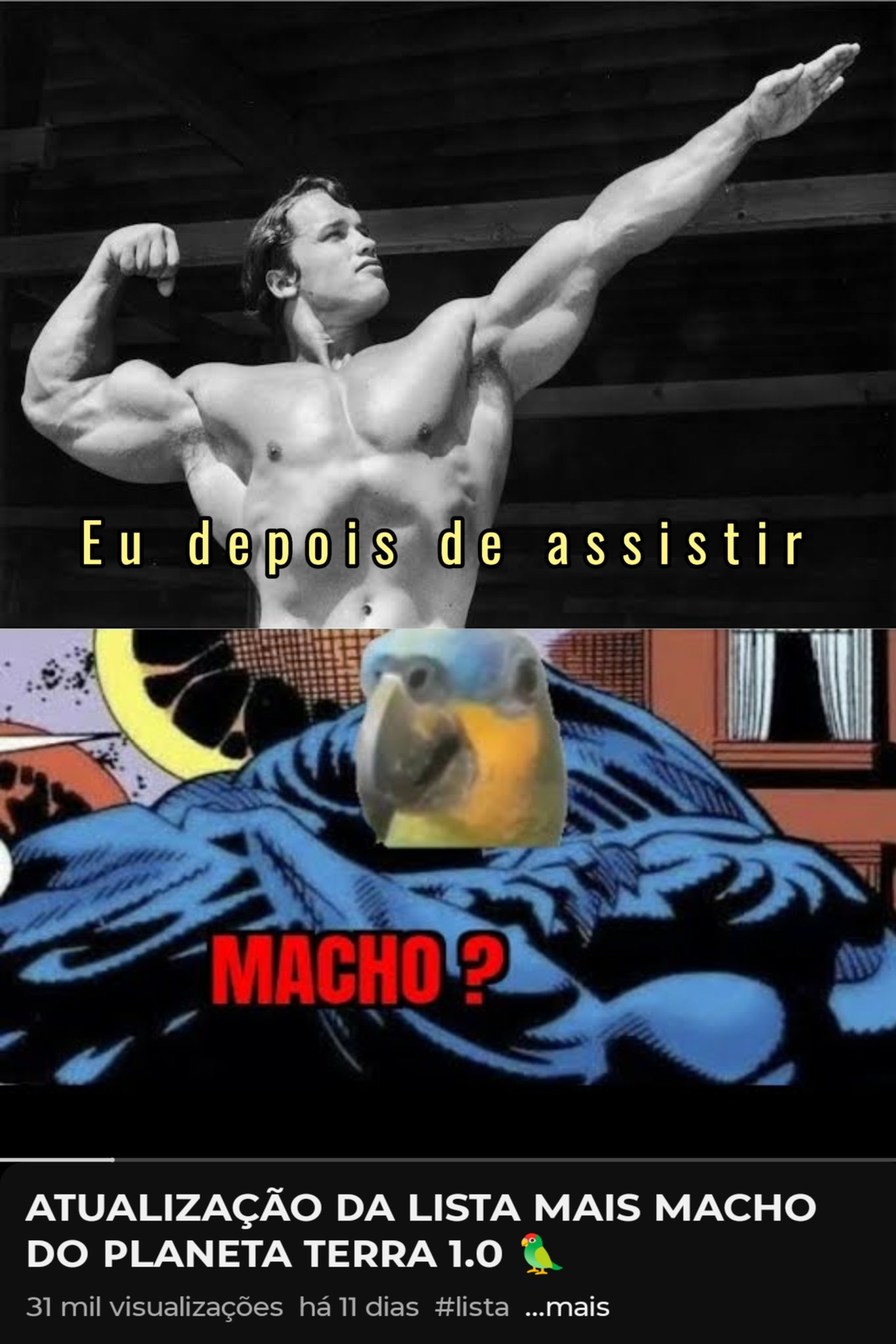 Assistam. Ê bom - meme