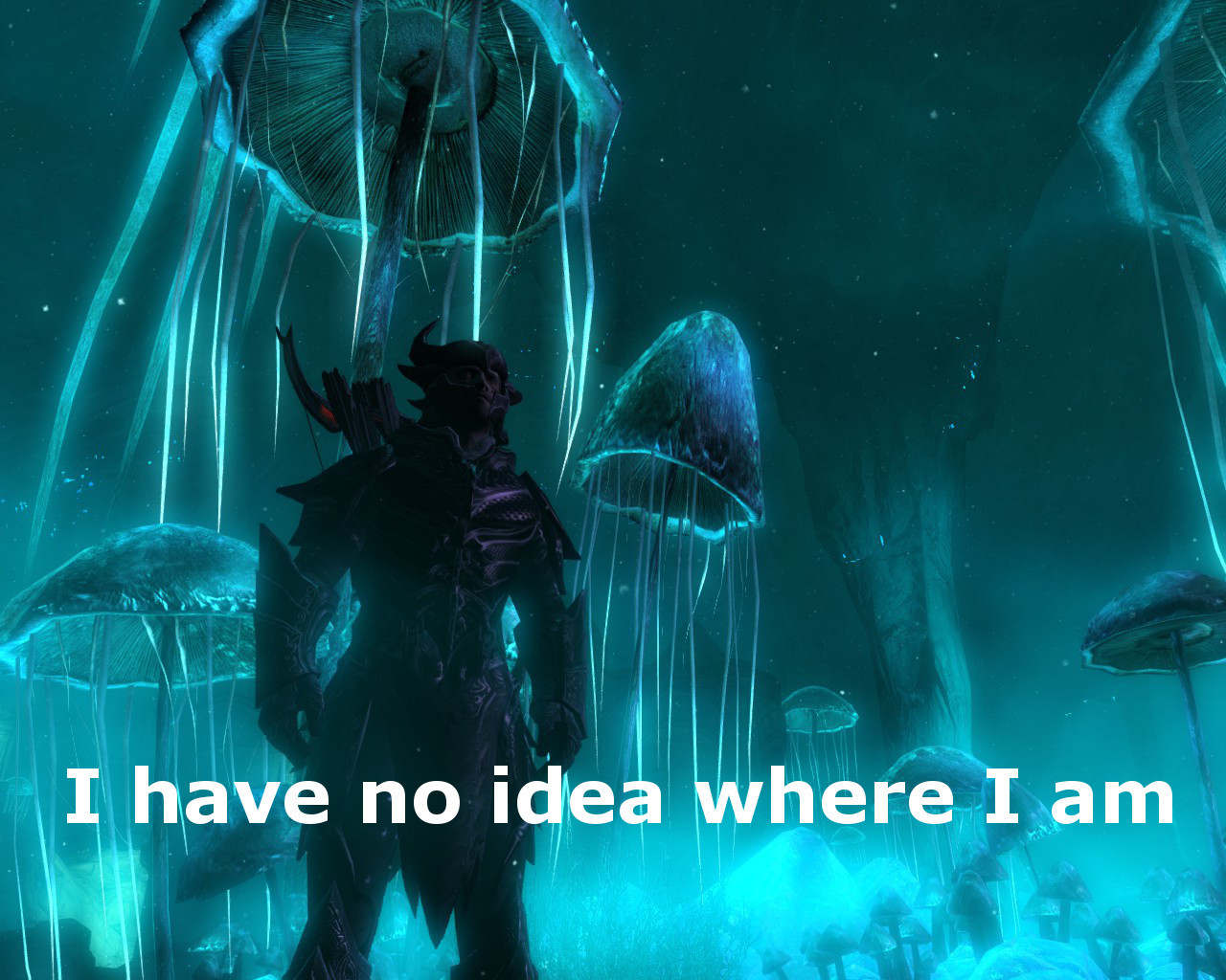 When you take shrooms and thought it was skooma and you thought you were in cyrodiil but youre in blackreach - meme