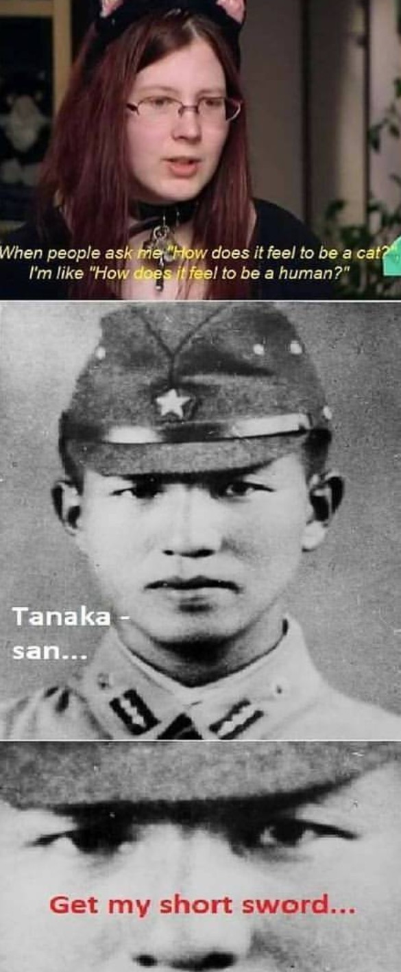Tanaka - meme