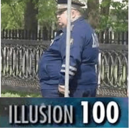 Illusion  - meme