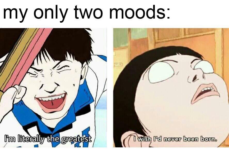 The only two moods - meme