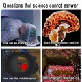 Questions that science cannot answer