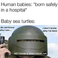 save the sea turtles bruh