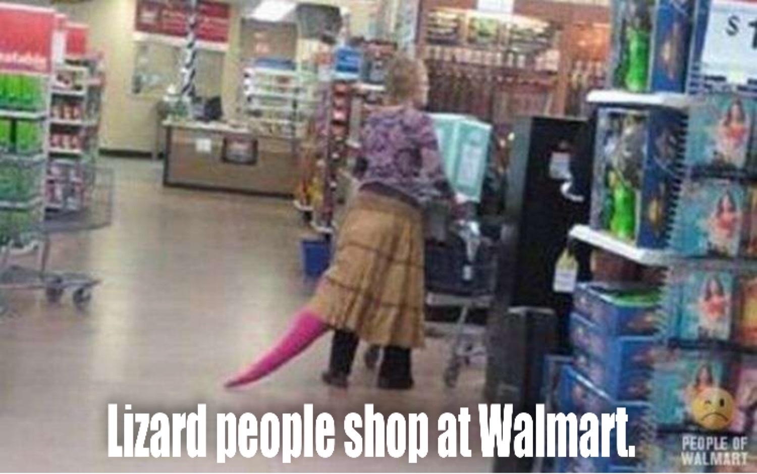 Okay she might be more of the raptor persuasion than lizard but she is shopping at Walmart. - meme