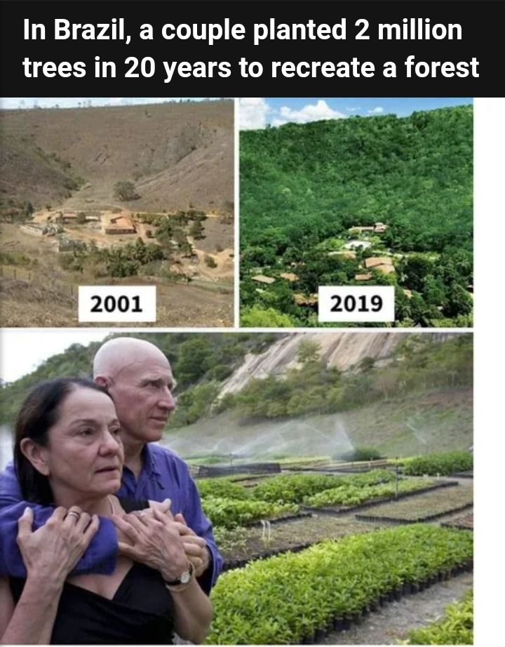 "No Brasil, um casal planta 2 milhões de árvores em 20 anos para recriar uma floresta" - meme