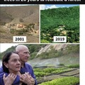 "No Brasil, um casal planta 2 milhões de árvores em 20 anos para recriar uma floresta"