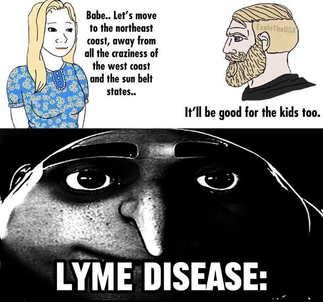 Lyme disease meme