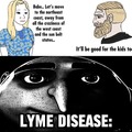 Lyme disease meme