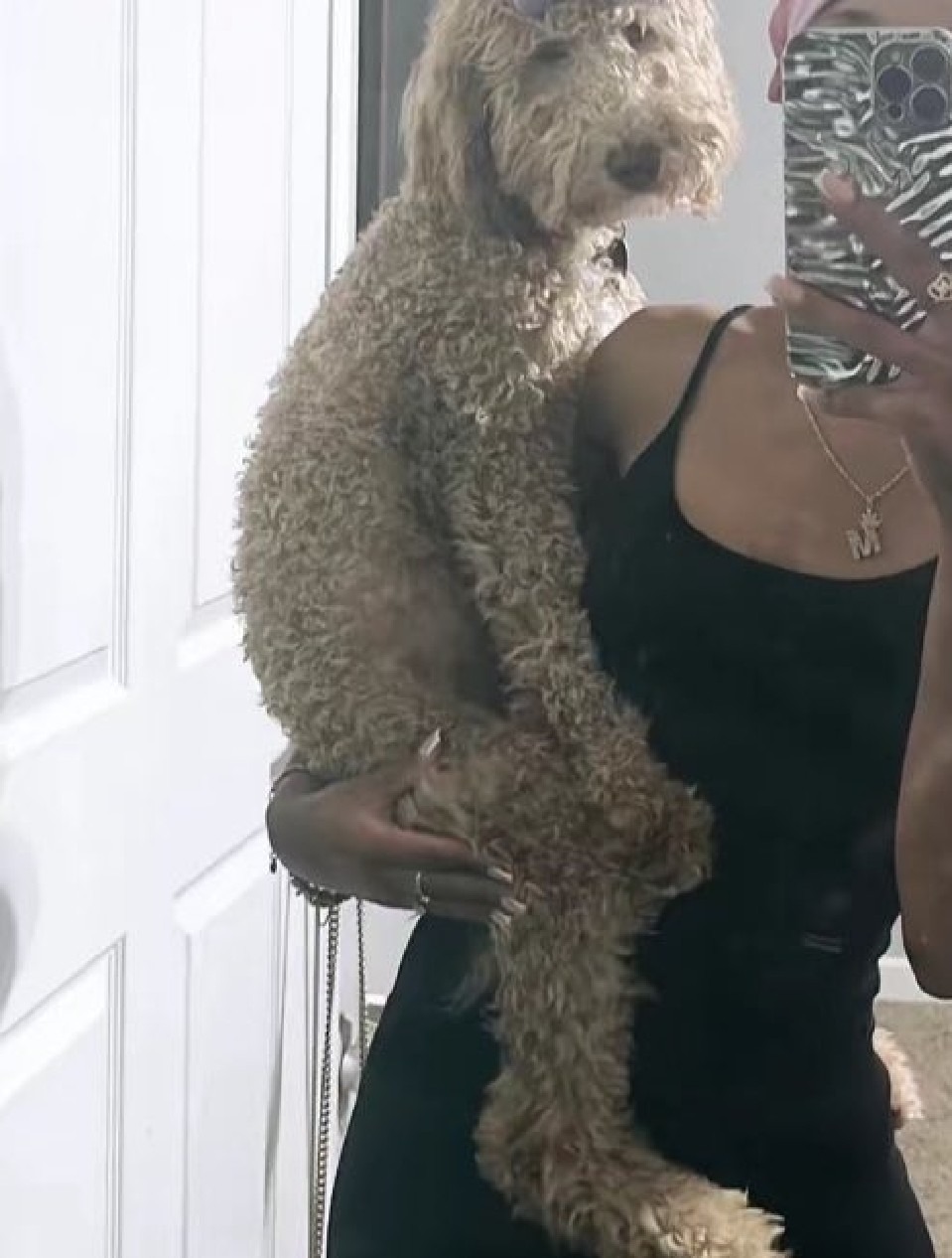 Galera meu cachorro novo me ajudem a escolher um nome - meme