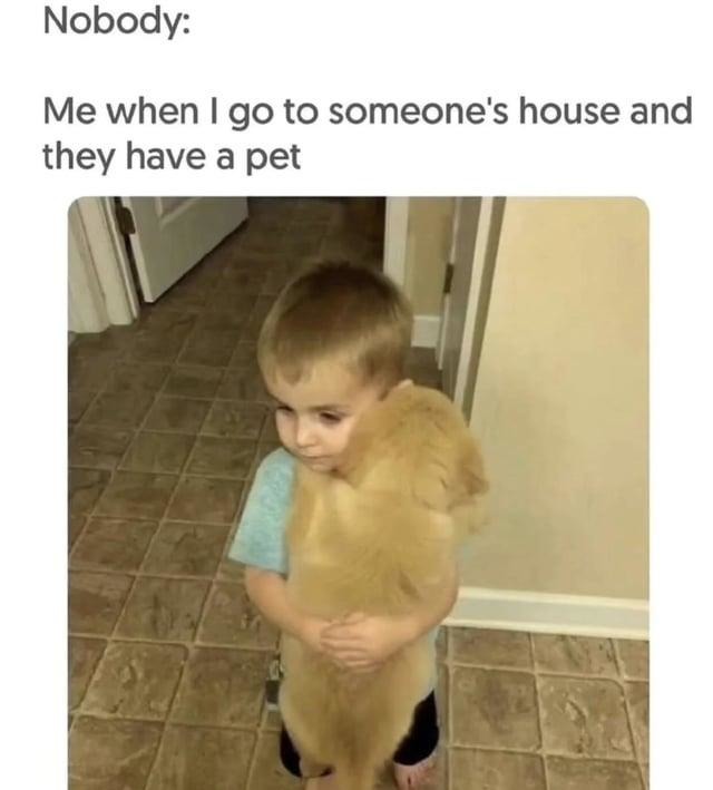 Me ignoring humans and bonding with their pets like a Disney princess - meme