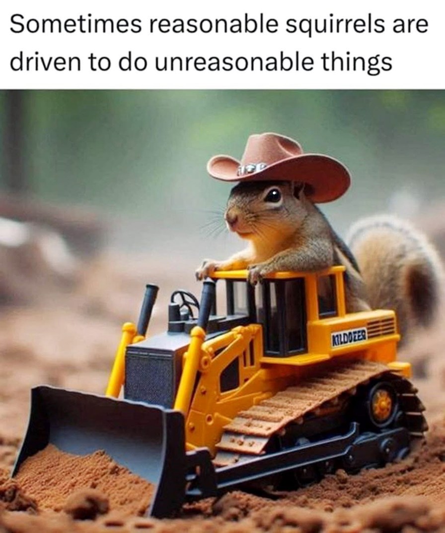 Sometimes reasonable squirrels must do unreasonable things - meme