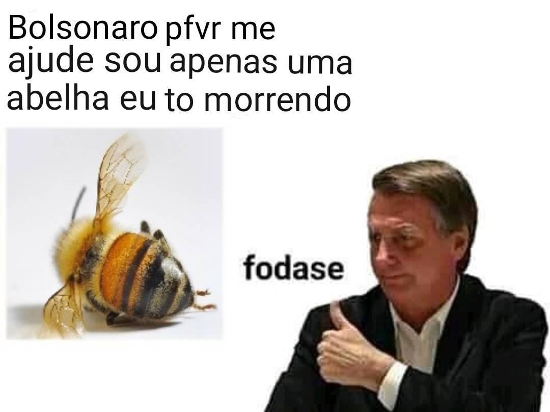 Bolsonaro falso Nacionalista - meme