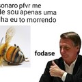Bolsonaro falso Nacionalista