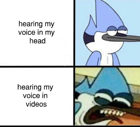 My voice - meme