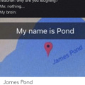 my name is Pond, James Pond