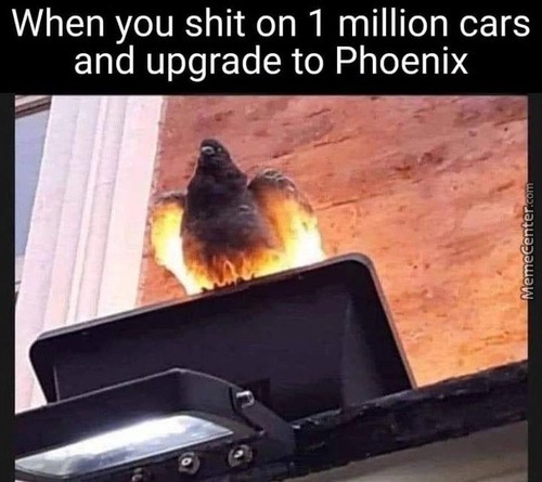 Gamer pigeon - meme