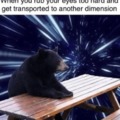 bear at a picnic table in space